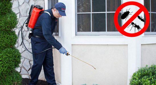 Haymana Böcek İlaçlama böcek ilaçlama ve haşere kontrolü — ilaclama-tr.com